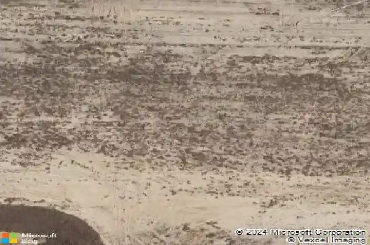 8090 penrose pl, wildwood,  FL 34785