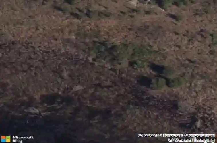 2988 sentell st, the villages,  FL 32163