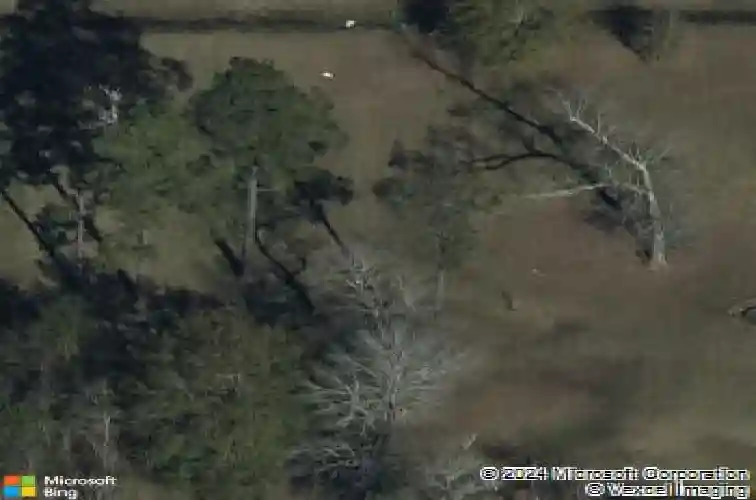 560 lyndale st, vidor,  TX 77662