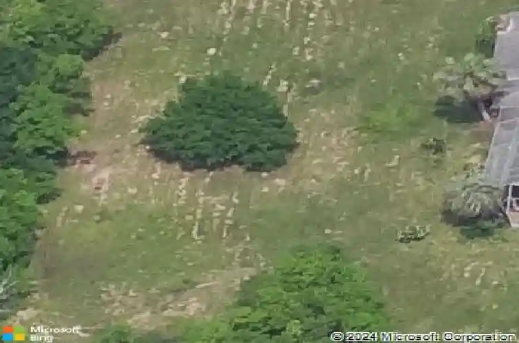 292 stapper st, bridge city,  TX 77611