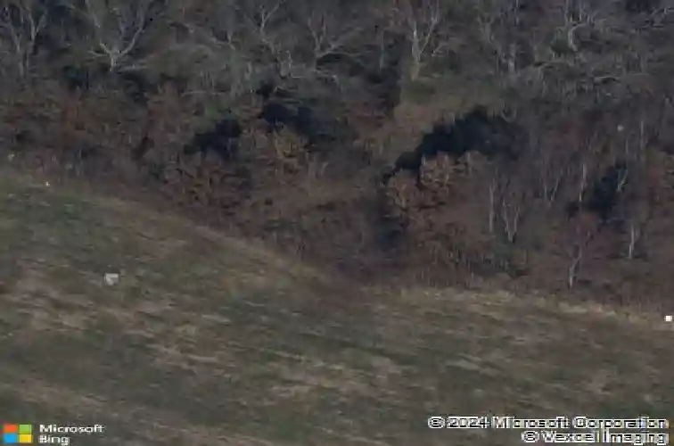 2103 creek view ln, raymore,  MO 64083
