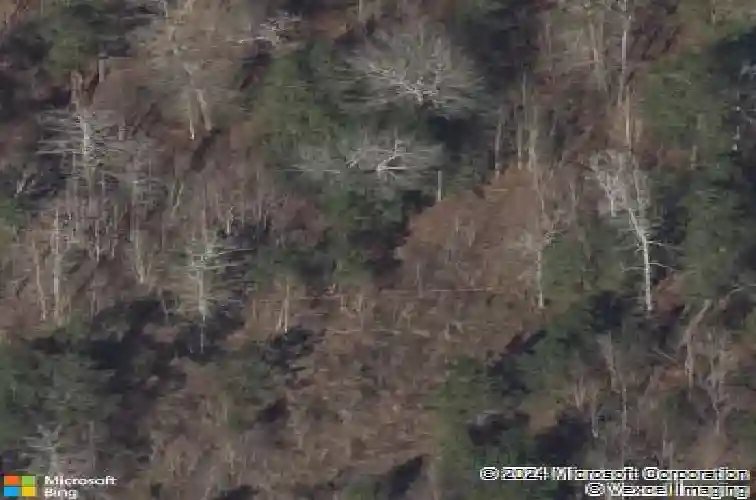  new caney,  TX 77357