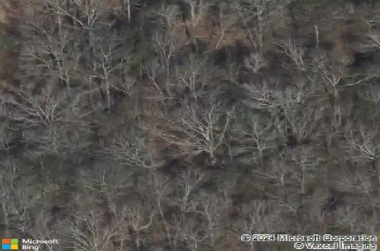  new caney,  TX 77357