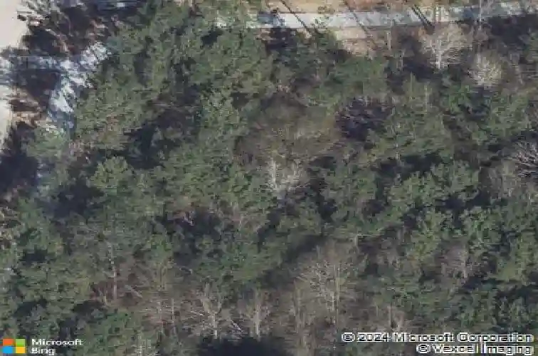  montgomery,  TX 77316