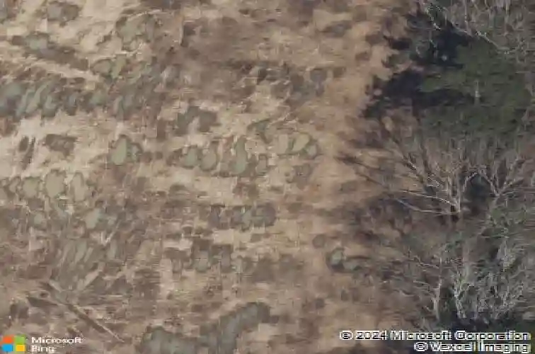  new caney,  TX 77357