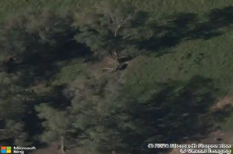 1711 nw 105th street, kansas city,  MO 64155