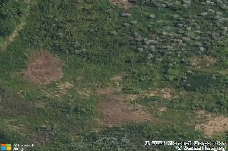 2604 windsor crest ct, belleville,  IL 62221