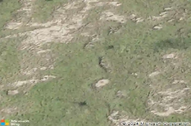 1405 chital dr, laredo,  TX 78045