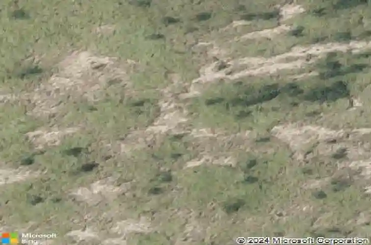 1312 sambar loop, laredo,  TX 78045