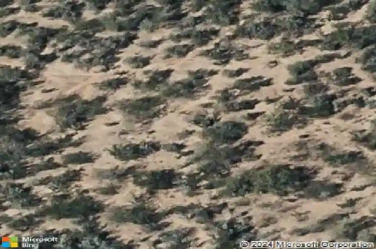 3803 gia st, laredo,  TX 78046