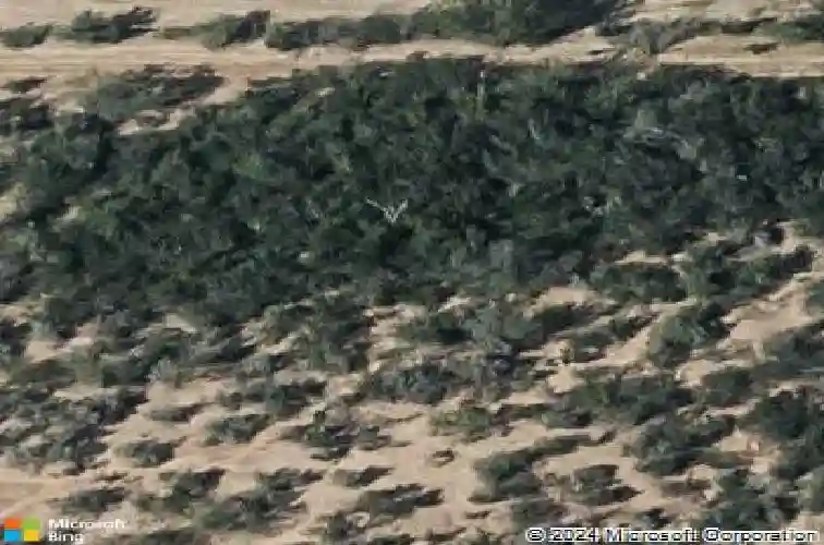 2616 mario st, laredo,  TX 78046