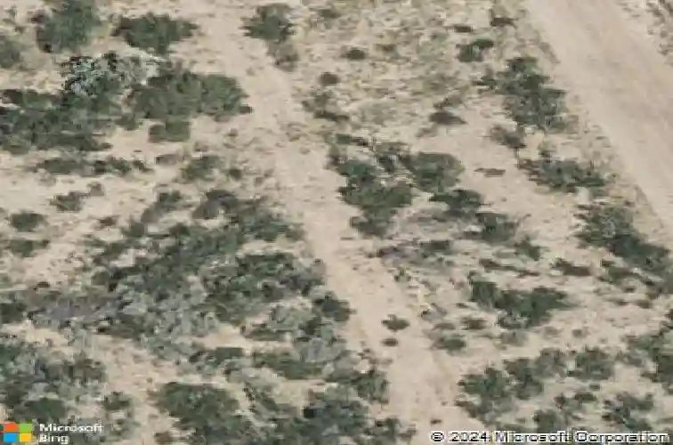 1401 orto dr, laredo,  TX 78045