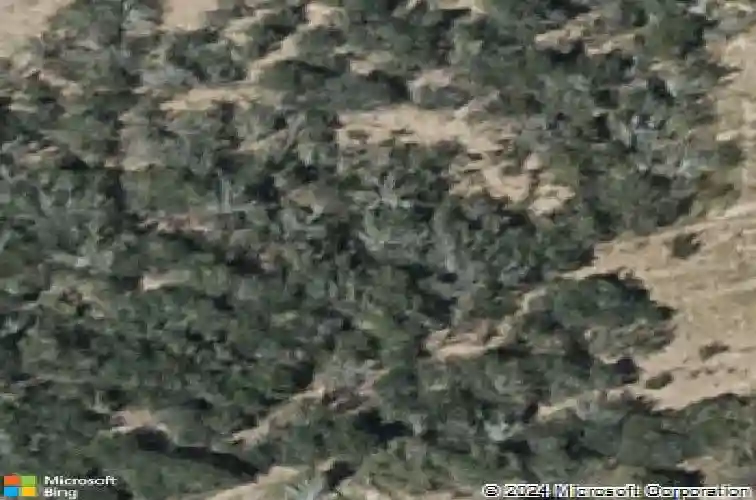 1423 ocaso dr, laredo,  TX 78045