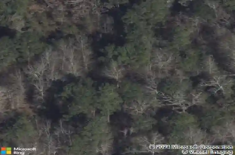  conroe,  TX 77385