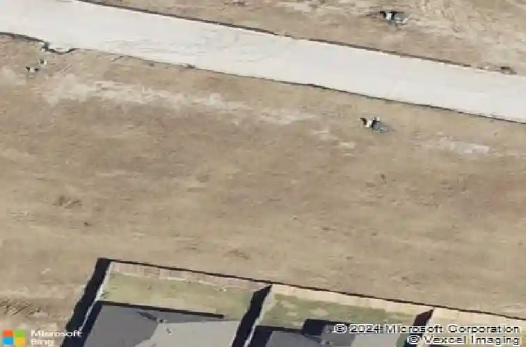  willis,  TX 77318