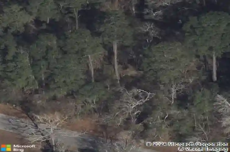  new caney,  TX 77357