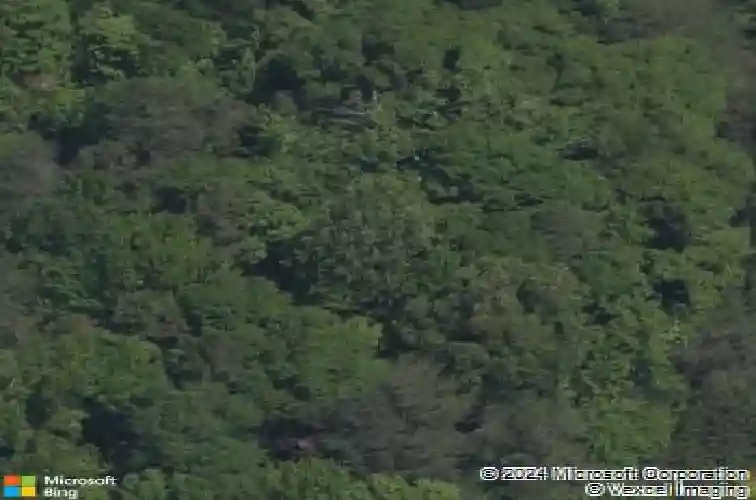 7037 messina rd, fort mill,  SC 29707