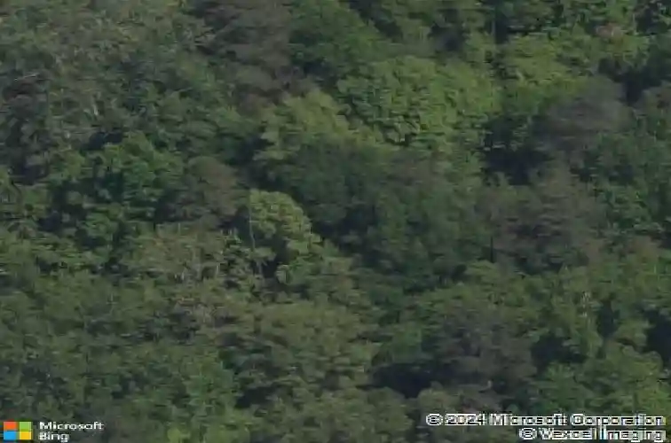 7047 messina rd, fort mill,  SC 29707