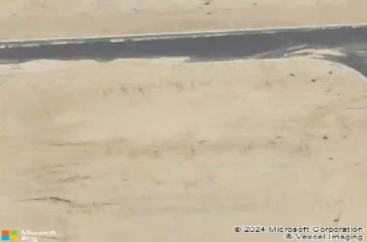 1161 declaration dr, elgin,  SC 29045