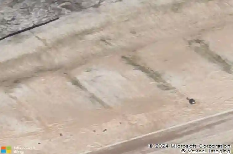 109 sundew rd, elgin,  SC 29045