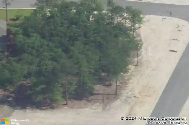 207 w arrowleaf ln, elgin,  SC 29045