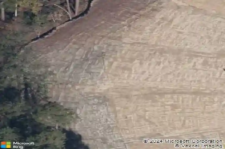 75 apple tree ct, columbia,  SC 29223