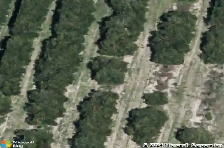  haines city,  FL 33844