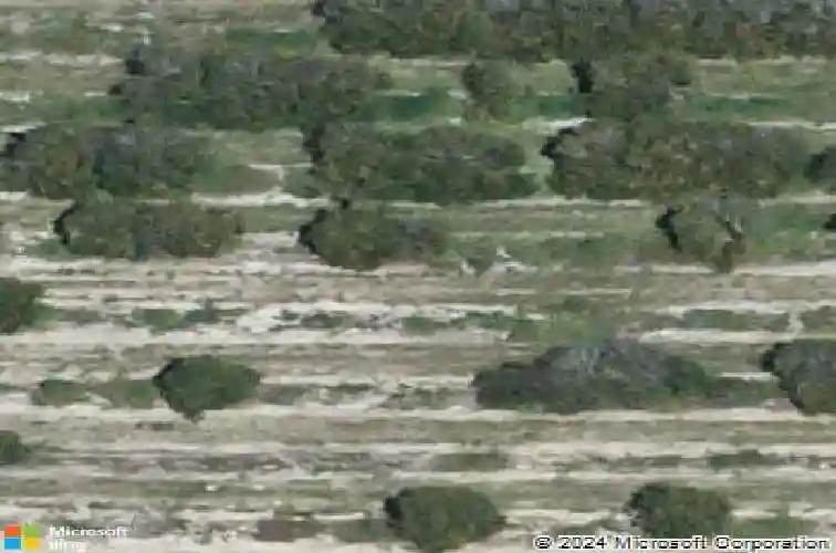  haines city,  FL 33844