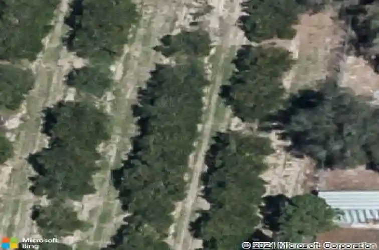  haines city,  FL 33844