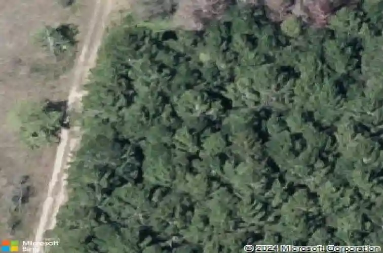  winter haven,  FL 33881