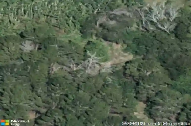  winter haven,  FL 33881