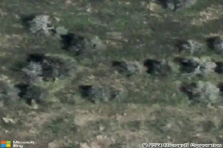  winter haven,  FL 33881