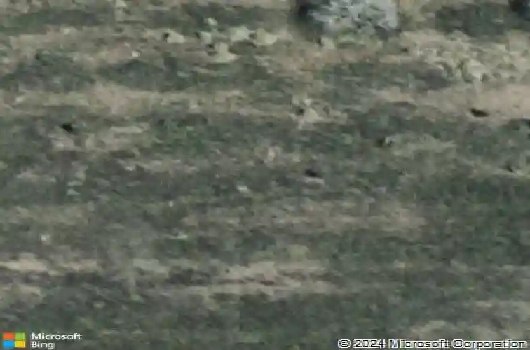  winter haven,  FL 33881