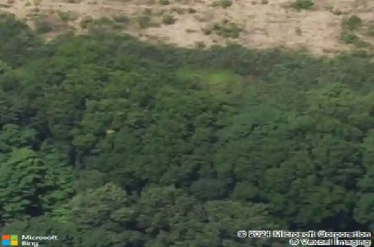 25441 forest ln, mattawan,  MI 49071