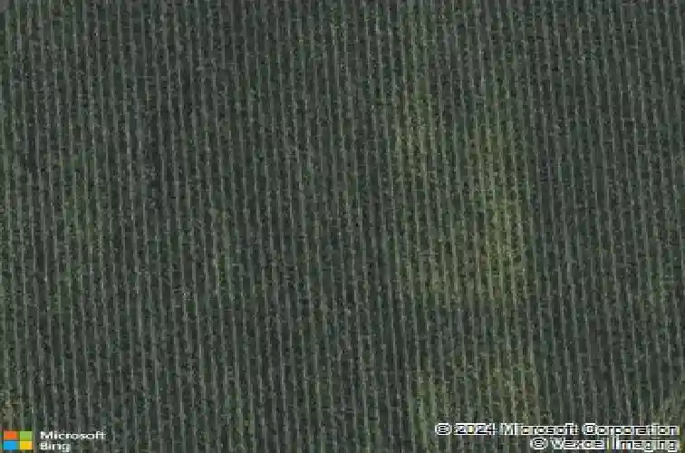 2417 mascoutah ave, belleville,  IL 62220