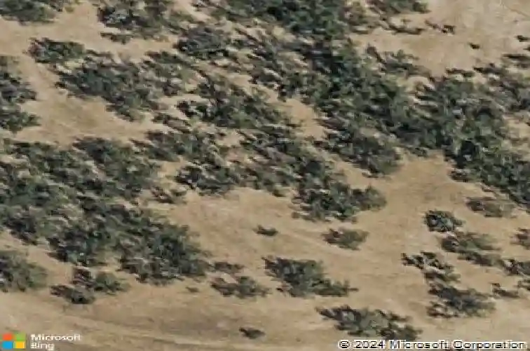 3209 cattle creek ln, laredo,  TX 78046