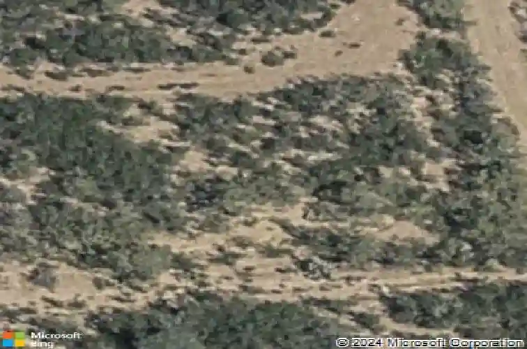 1811 calvillo dr, laredo,  TX 78046