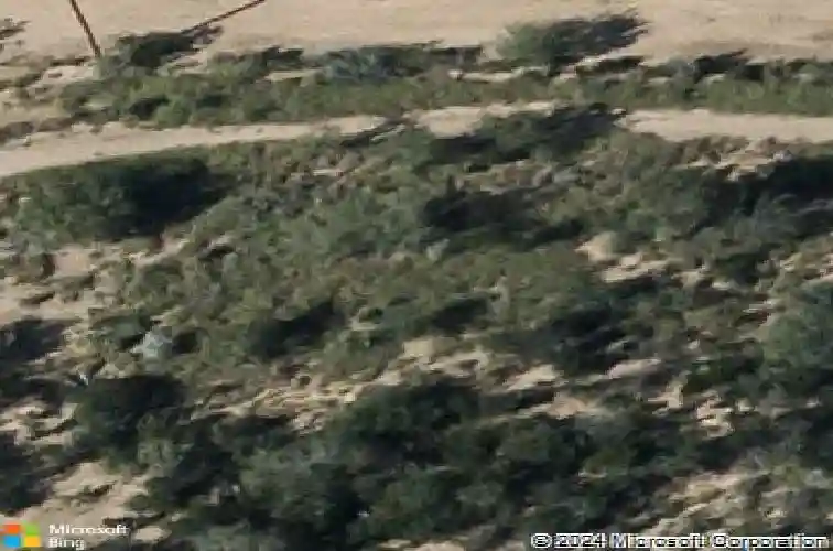 2912 bluebell ct, laredo,  TX 78046