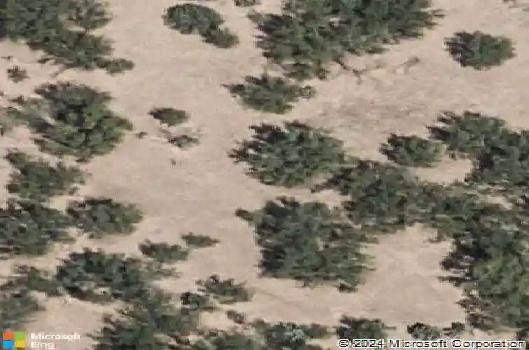 2407 norman mailer dr, laredo,  TX 78041