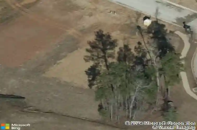 705 ruskin dr, chapin,  SC 29036