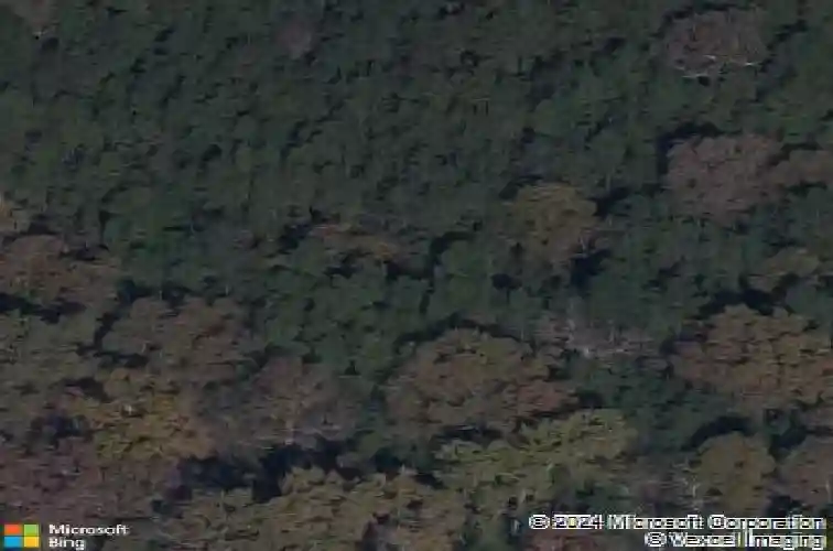 527 morning mist rd, elgin,  SC 29045