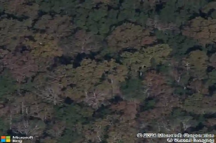 519 morning mist rd, elgin,  SC 29045