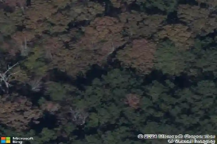 601 calming dusk way, elgin,  SC 29045