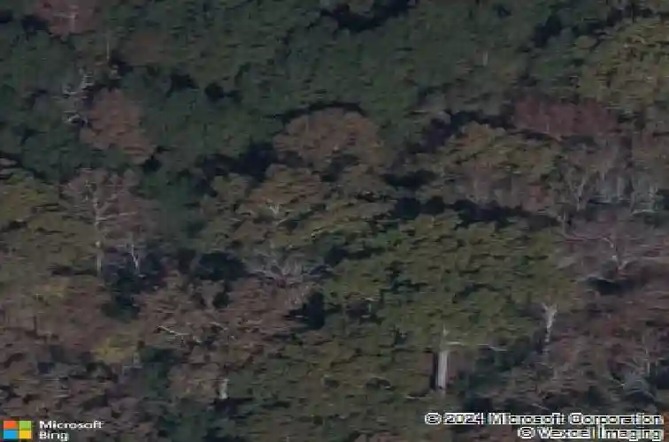 636 calming dusk way, elgin,  SC 29045