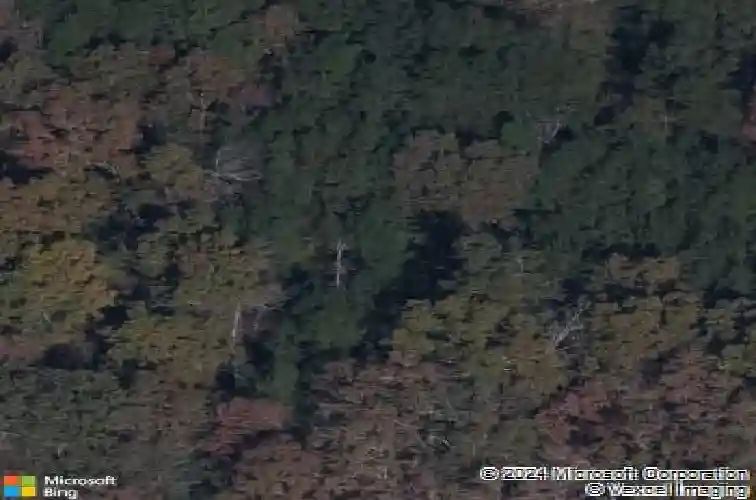 626 calming dusk way, elgin,  SC 29045