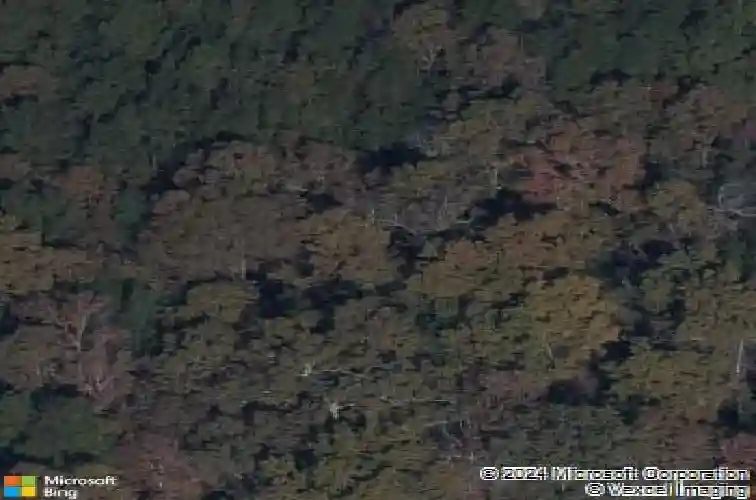 622 calming dusk way, elgin,  SC 29045