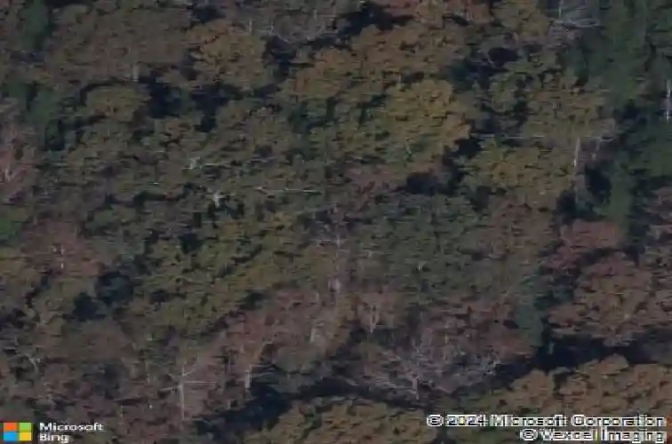 520 morning mist rd, elgin,  SC 29045