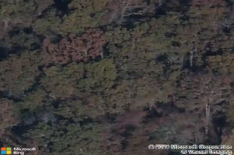 645 calming dusk way, elgin,  SC 29045