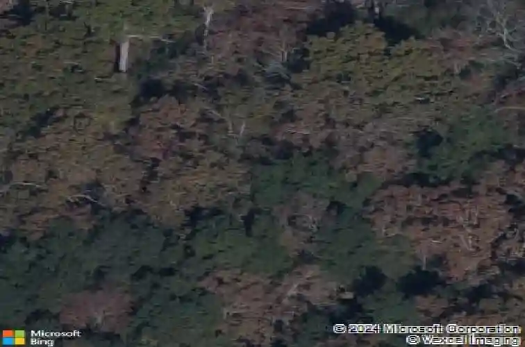 642 calming dusk way, elgin,  SC 29045