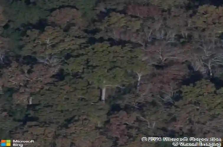 638 calming dusk way, elgin,  SC 29045